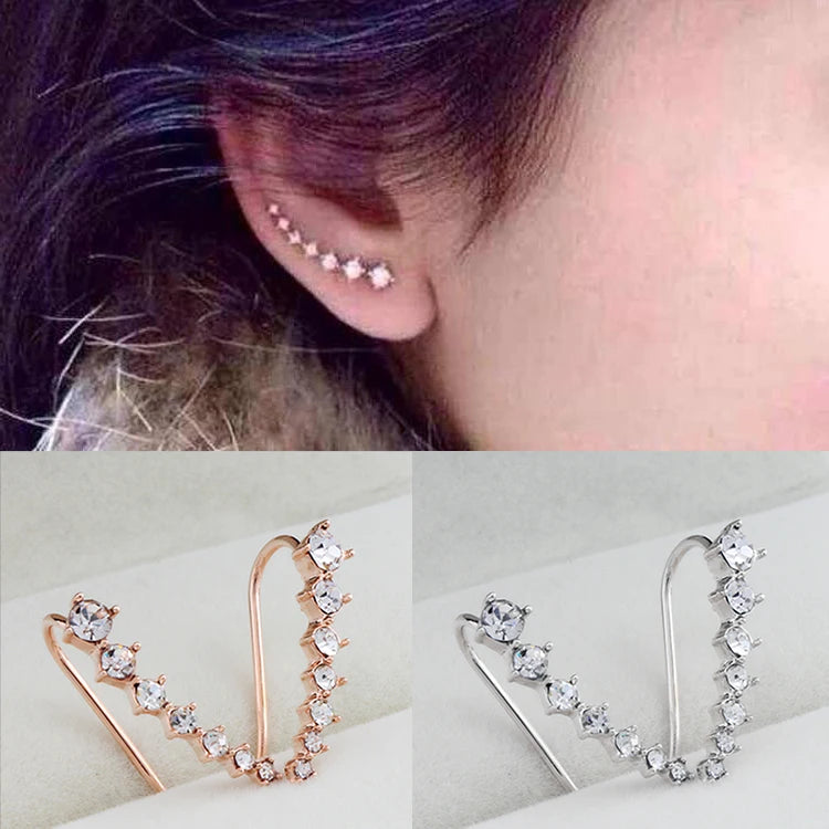 Ear Hook Stud Earrings