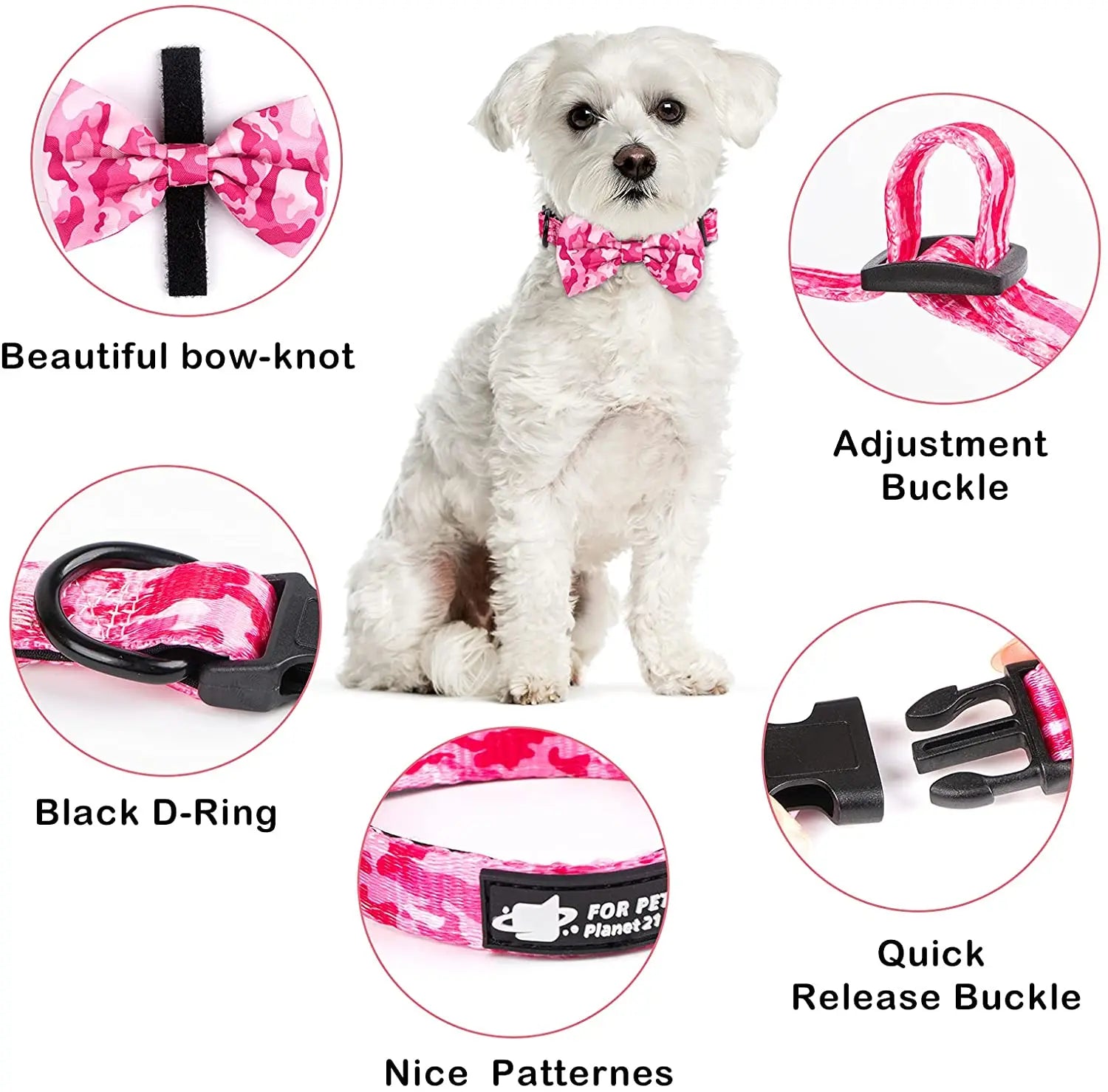 Small Pet Accessories Supplies Set