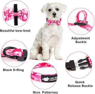 Conjunto de accesorios y suministros para mascotas pequeñas