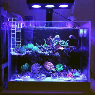 Touch Control Saltwater Aquarium Lighting