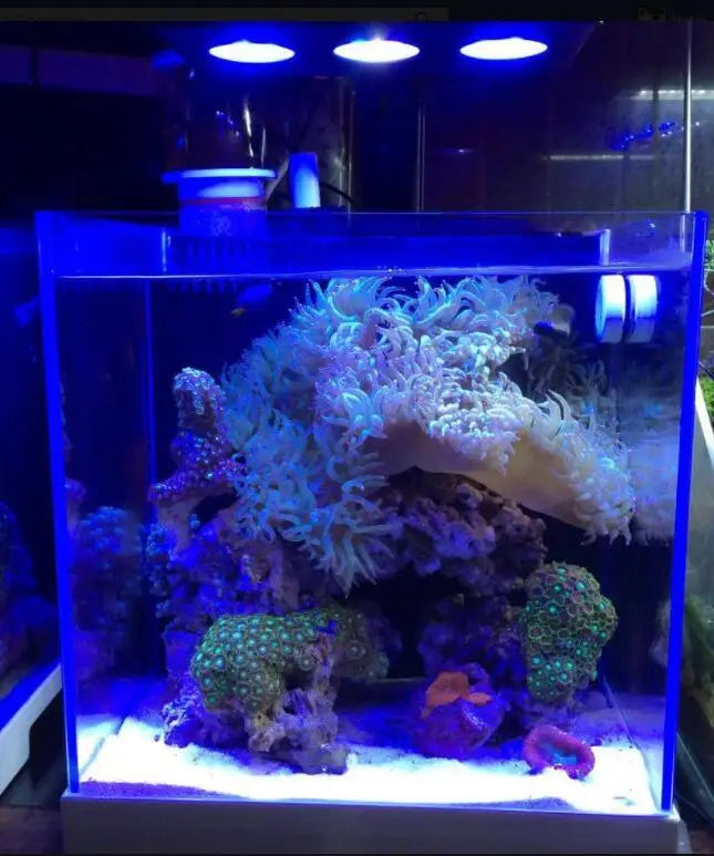 Touch Control Saltwater Aquarium Lighting