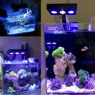 Touch Control Saltwater Aquarium Lighting