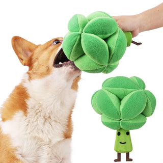 Slow Dispensing Feeder Pet Intelligence Toy