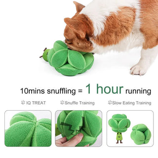 Slow Dispensing Feeder Pet Intelligence Toy