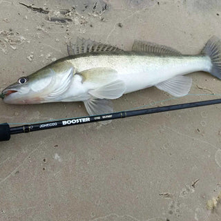 Ex-Fast Fishing Rod