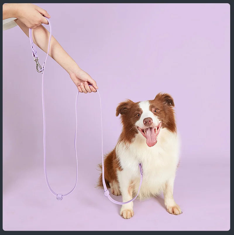 Waterproof Pet Rubber Training Leashes