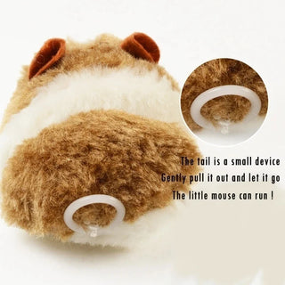 Hamster Interactive Simulation Toys