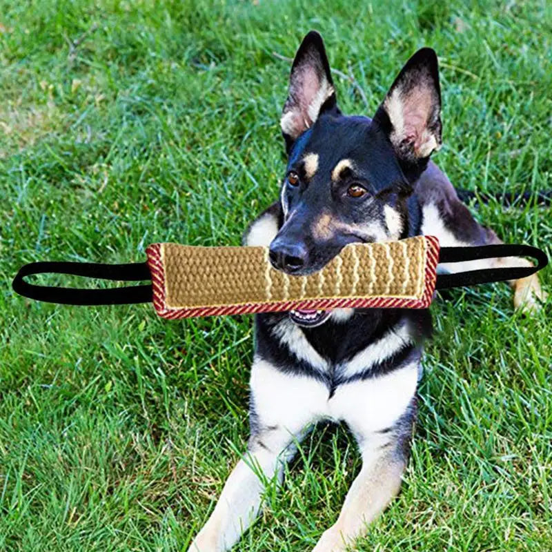 German Shepherd Training Toys